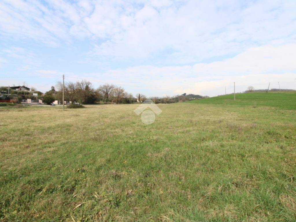 Terreno a Poggio mirteto in Via SR313 - Foto 4