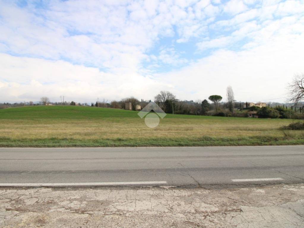 Terreno a Poggio mirteto in Via SR313 - Foto 5