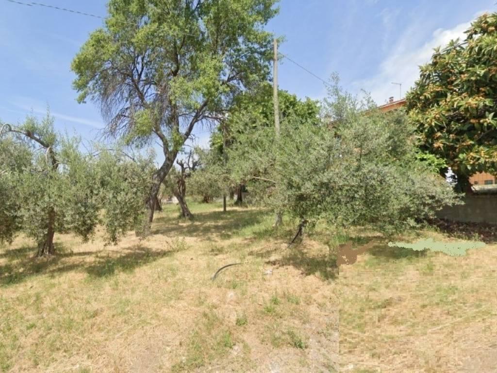 Terreno a Passignano sul trasimeno in Via dei Mandorli - Foto 2