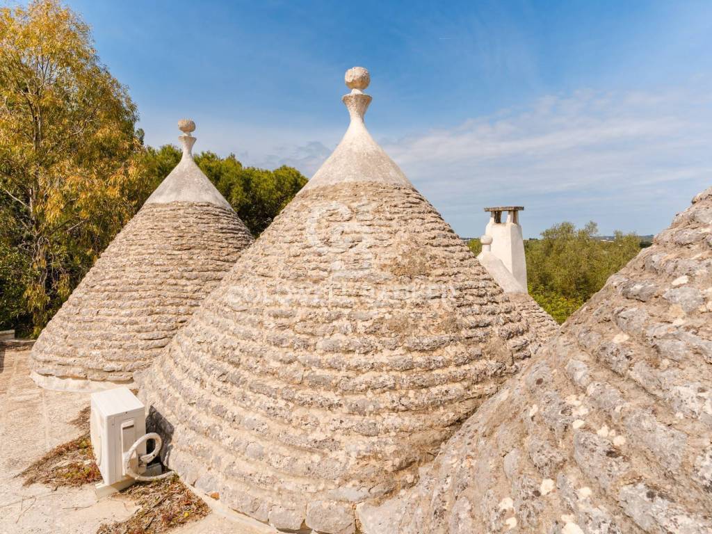 Rustico / casale a Ostuni in Contrada Grieco - Foto 3
