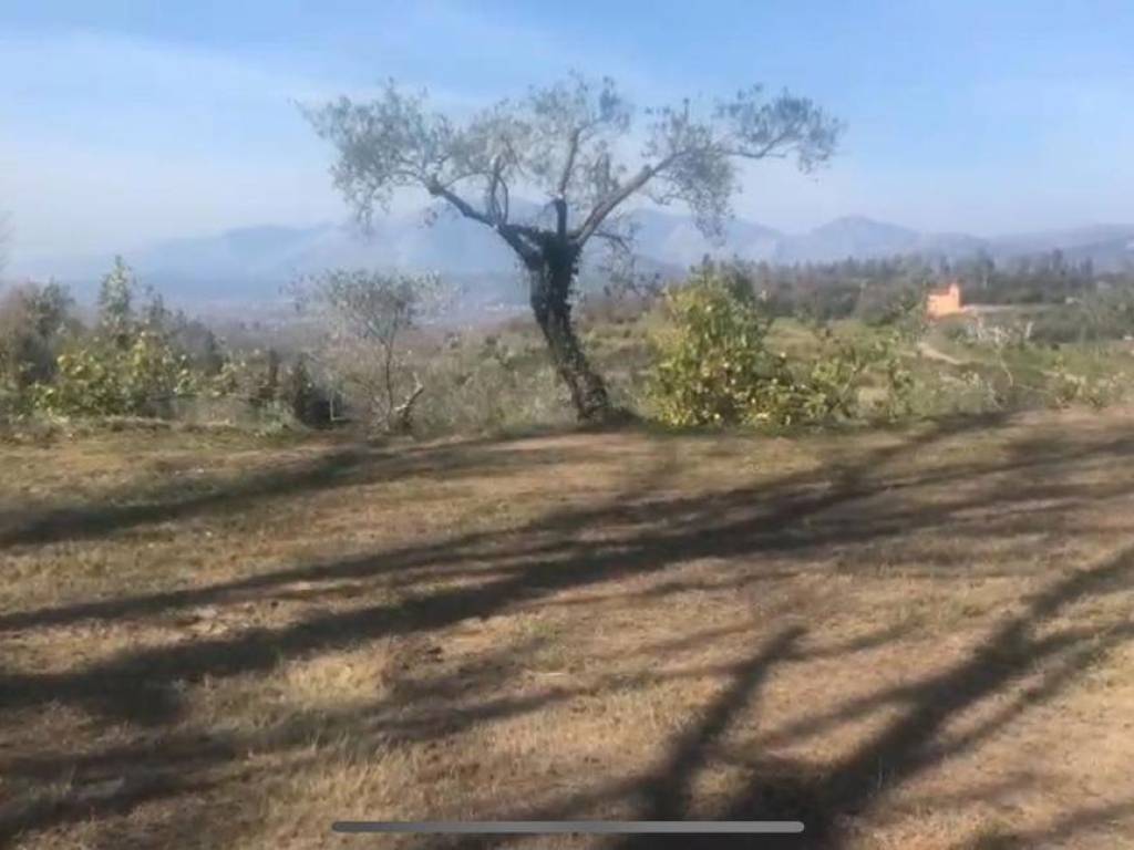 Terreno a Sessa aurunca in rongolise - Foto 4