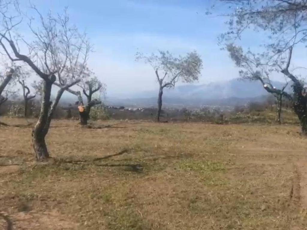 Terreno a Sessa aurunca in rongolise - Foto 5