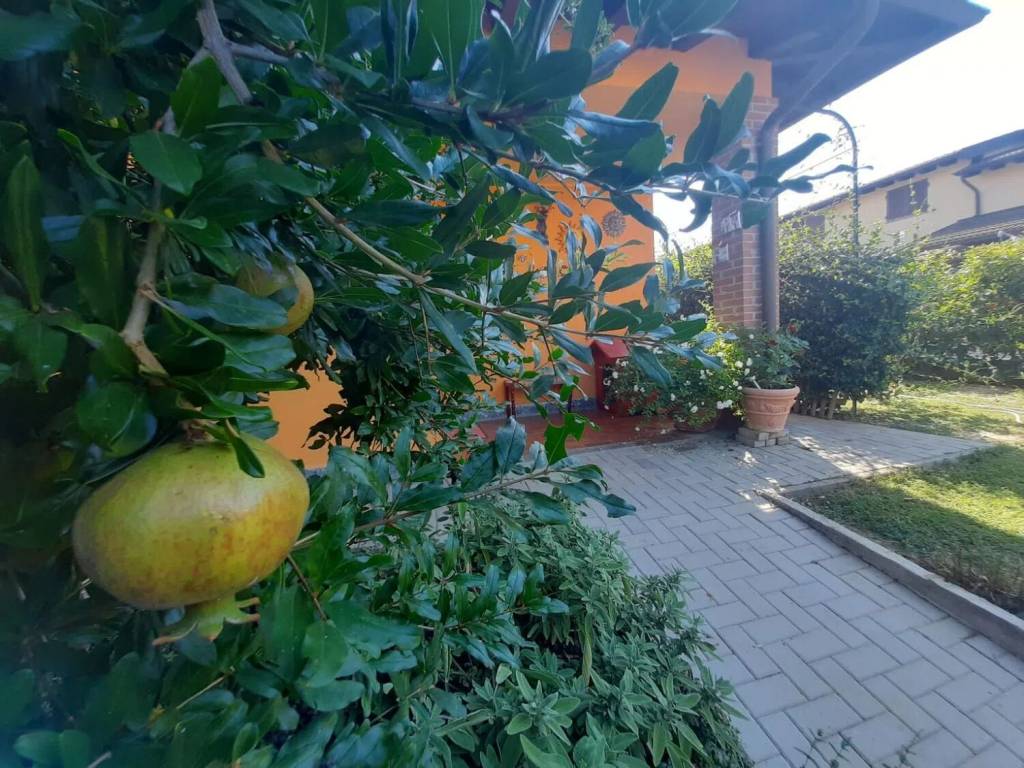 Villa a Retorbido in Mascagni S.N.C. - Foto 4