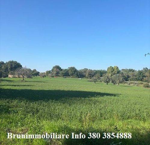 Terreno a Ionadi in Via Olimpia - Foto 3