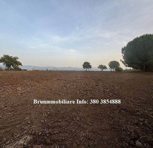 Terreno a Sant'onofrio in Strada Provinciale 4 - Foto 2