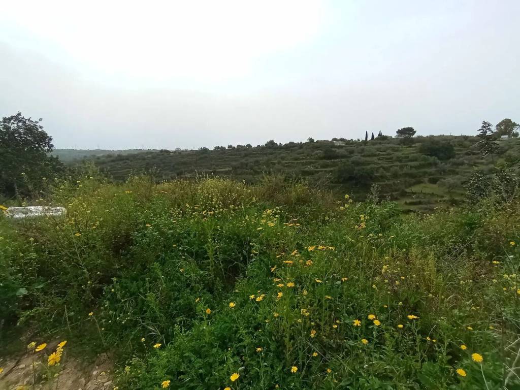 Terreno a Modica in Via Modica Giarratana, 1261 - Foto 3