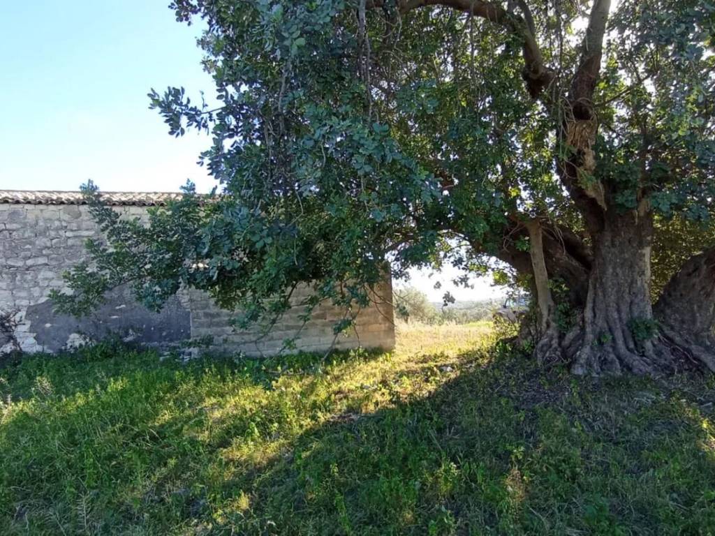 Rustico / casale a Rosolini in Contrada Pezza No Number - Foto 4