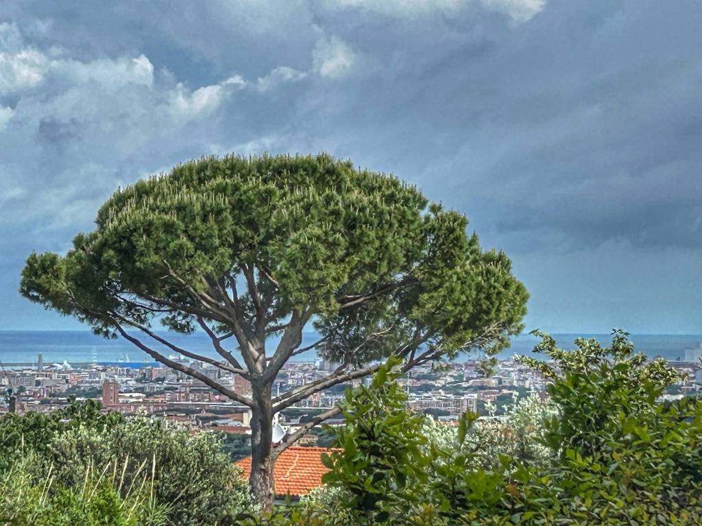 Appartamento a Livorno in Via della Porcigliana - Foto 2