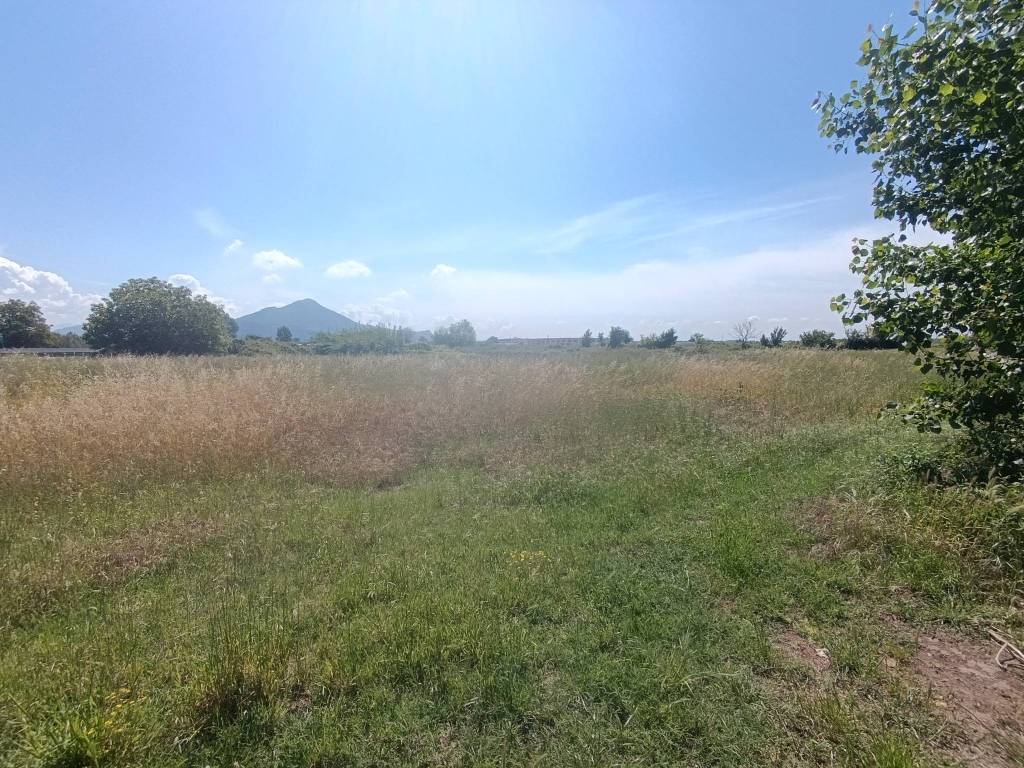 Terreno a Vitulazio in Località Agnena - Foto 2