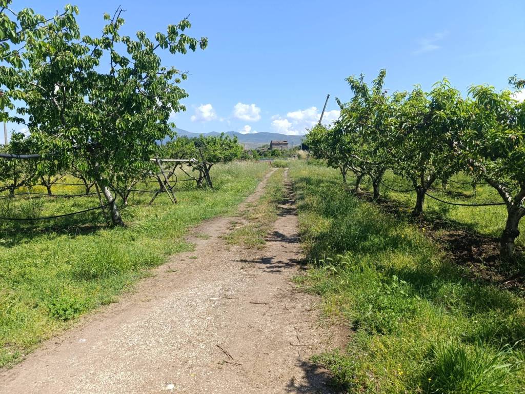 Terreno a Vitulazio in Località Agnena - Foto 3
