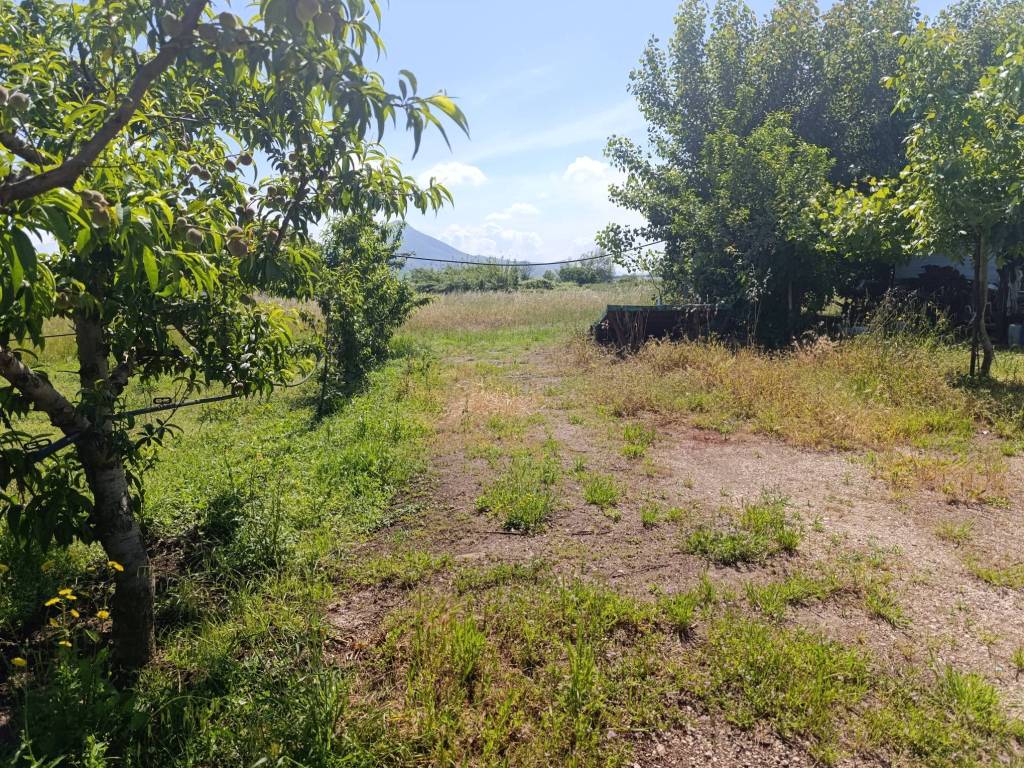 Terreno a Vitulazio in Località Agnena - Foto 4