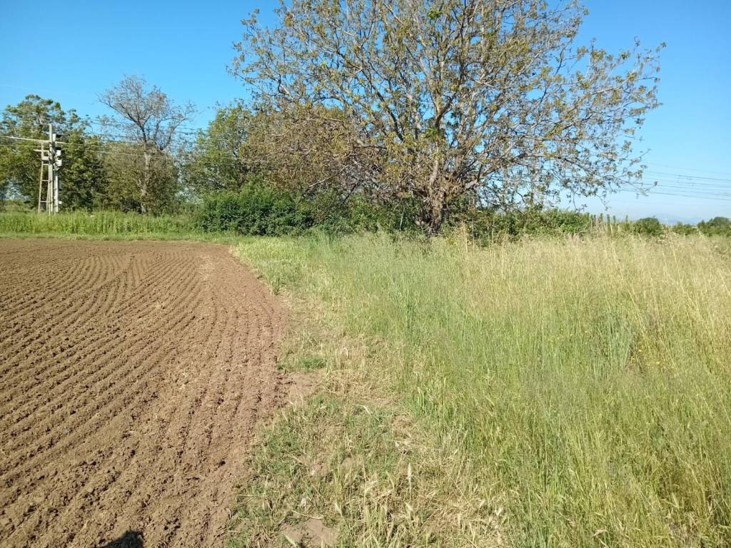 Terreno a Capua in Via Silvagna - Foto 2