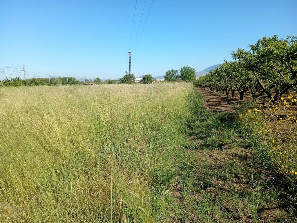 Terreno a Capua in Via Silvagna - Foto 4