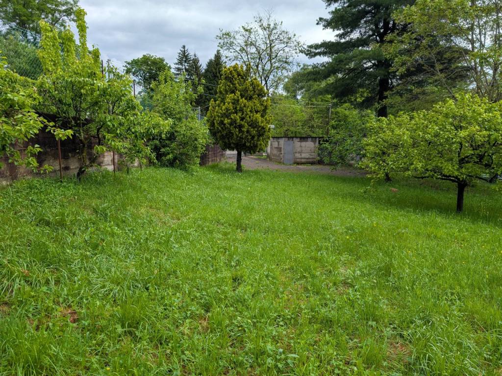 Terreno a Cuasso al monte - Foto 2
