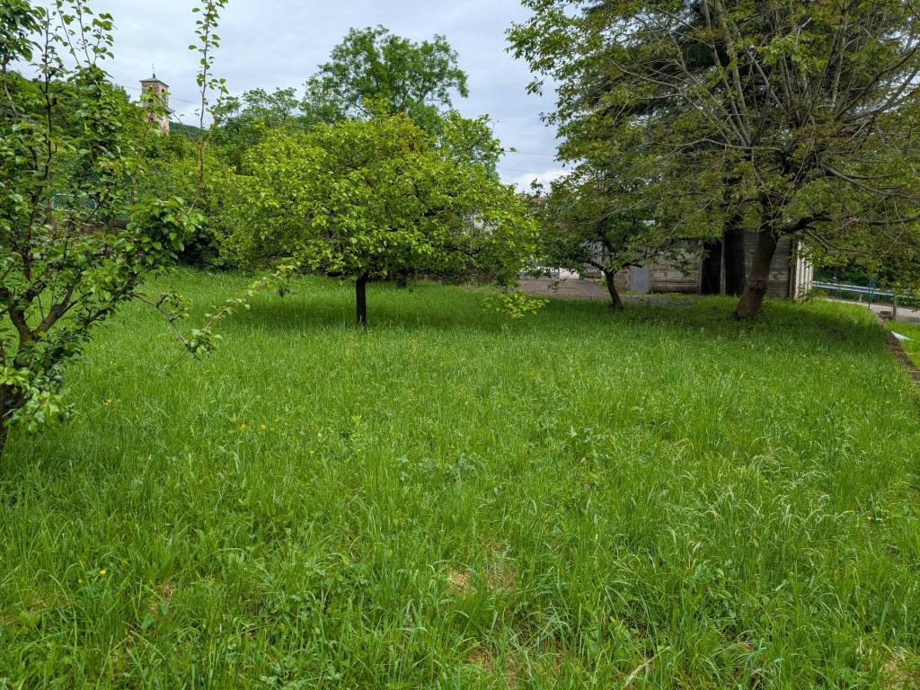 Terreno a Cuasso al monte - Foto 3