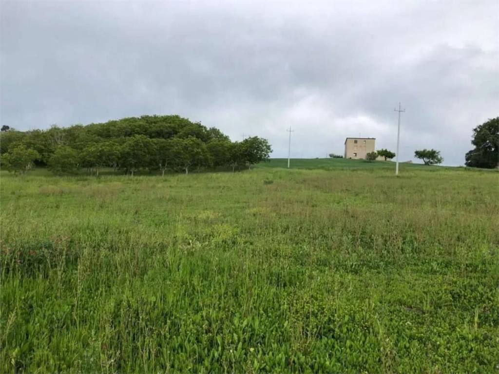 Rustico / casale a Palata in Strada Provinciale 163 S.N.C. - Foto 3