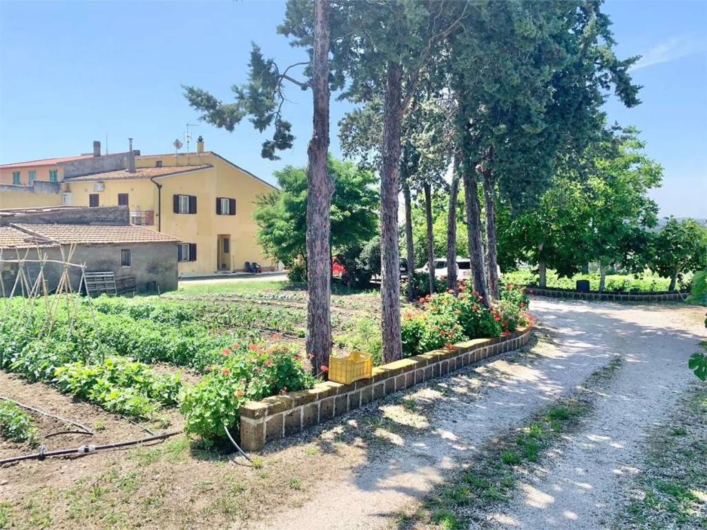 Rustico / casale a Termoli in Strada Provinciale 112 - Foto 3