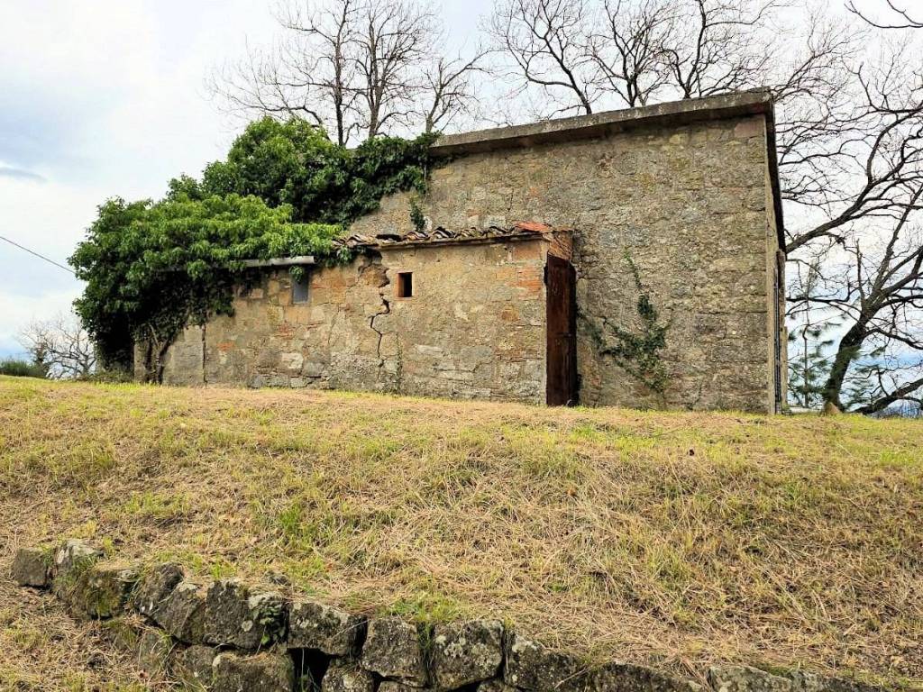 Rustico / casale a Roccastrada - Foto 2