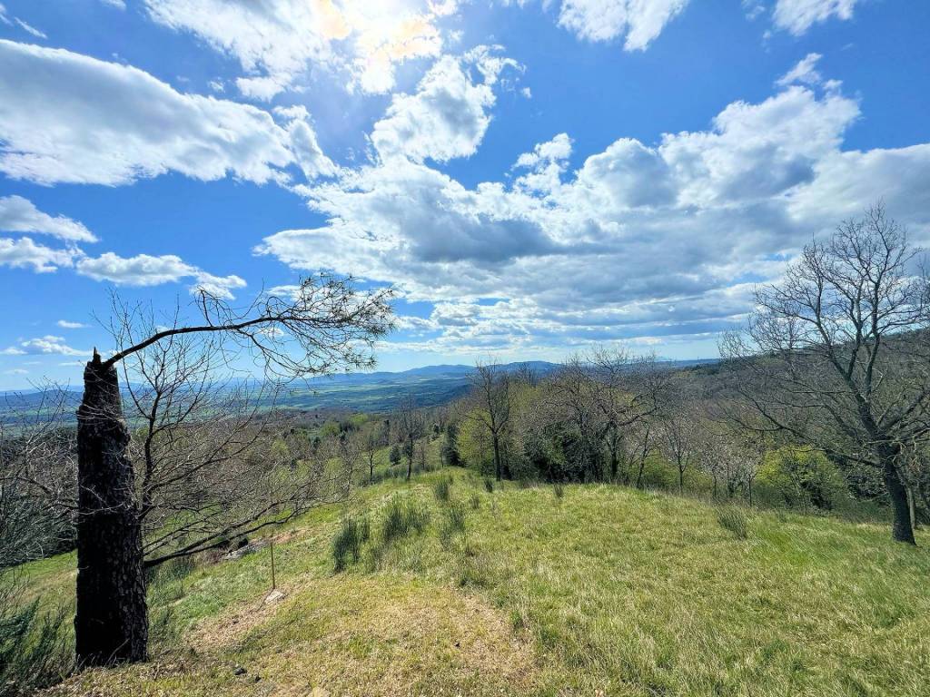 Rustico / casale a Roccastrada - Foto 3