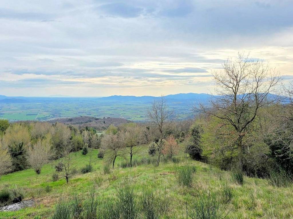 Rustico / casale a Roccastrada - Foto 5