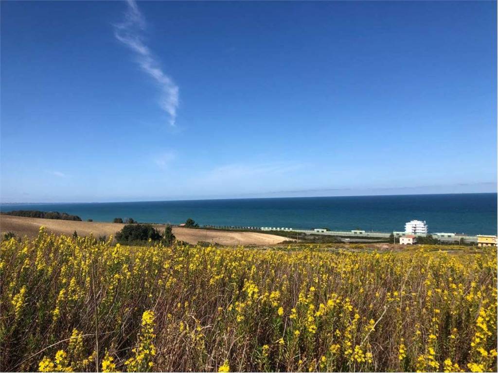 Terreno a Termoli - Foto 3