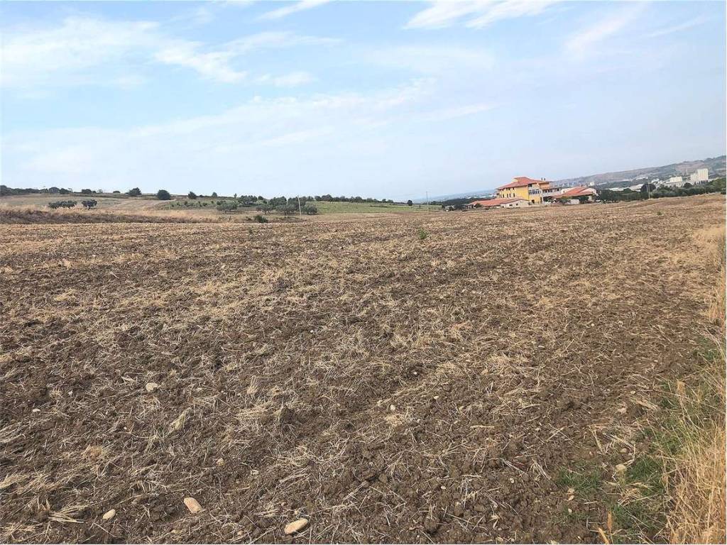 Terreno a Guglionesi - Foto 5