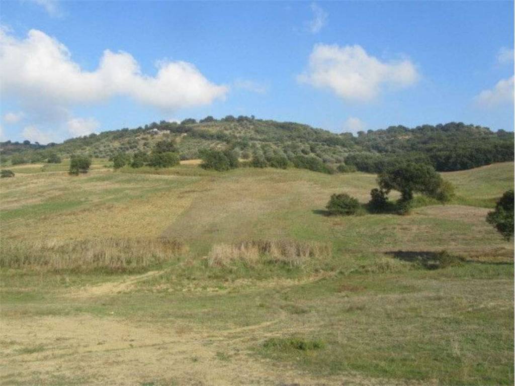 Terreno a Guglionesi in Petriglione, 0 - Foto 3