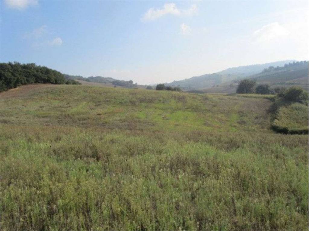 Terreno a Guglionesi in Petriglione, 0 - Foto 4