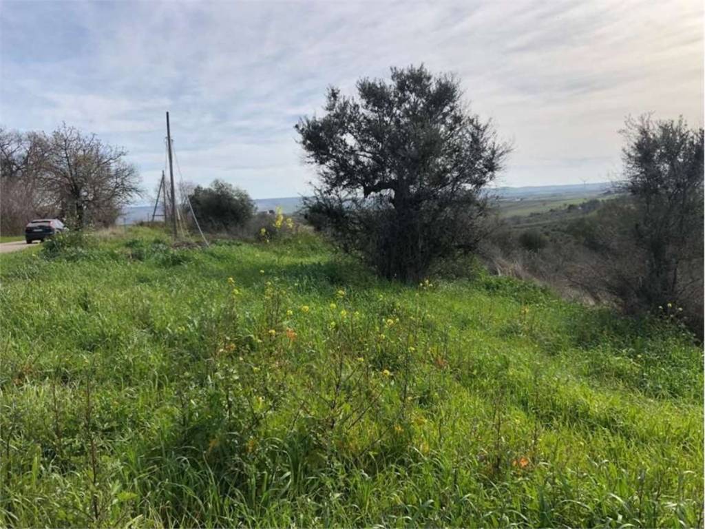 Terreno a San martino in pensilis in Provinciale 136, 0 - Foto 2