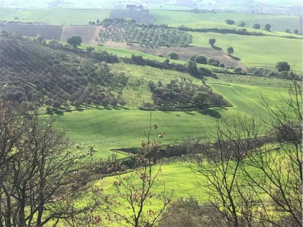 Terreno a Guglionesi in Petriglione, 0 - Foto 4