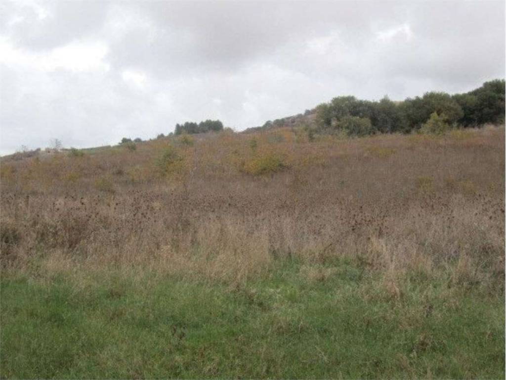 Terreno a Montecilfone in Staffiglione, 0 - Foto 2