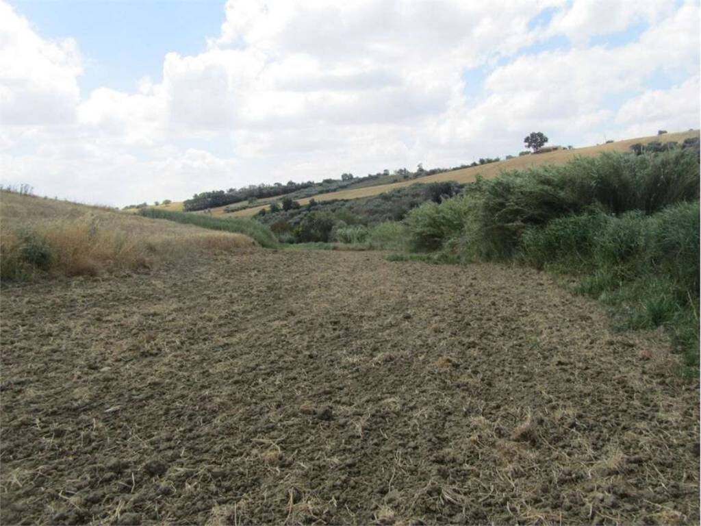 Terreno a Guglionesi in del Colle di Rutia, 0 - Foto 4