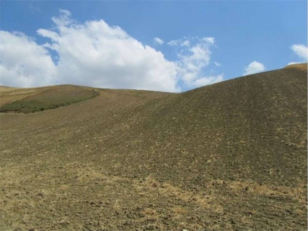 Terreno a Guglionesi in del Colle di Rutia, 0 - Foto 5