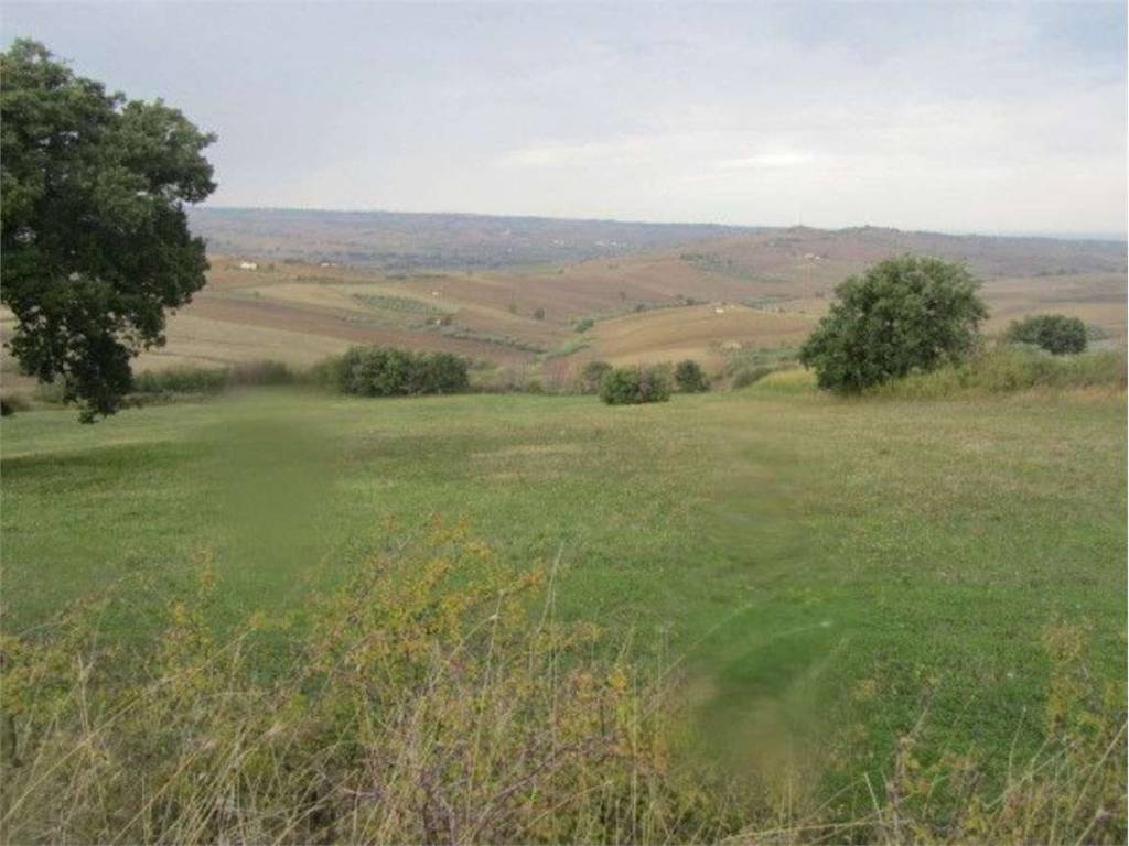 Terreno a Guglionesi in Contrada Difensola, 0 - Foto 4