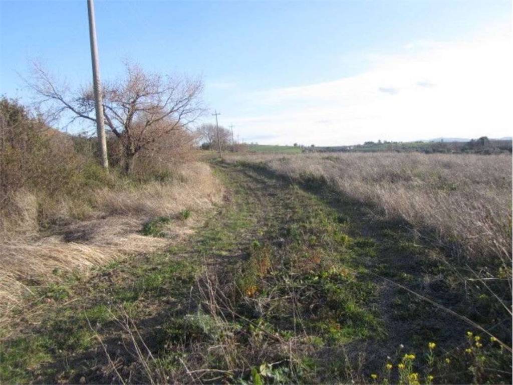 Terreno a Guglionesi in Sterparone, 0 - Foto 3