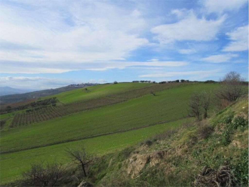 Terreno a Guglionesi in Santa Chiara, 0 - Foto 2