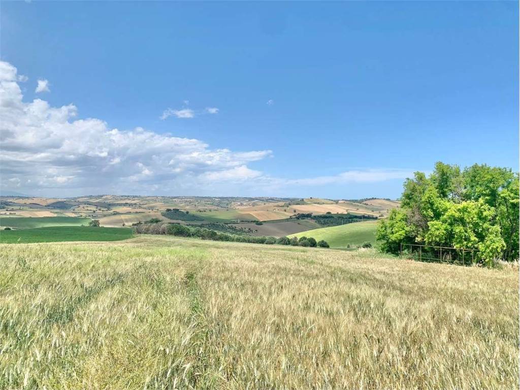 Terreno a Guglionesi in Petriglione, 0 - Foto 4