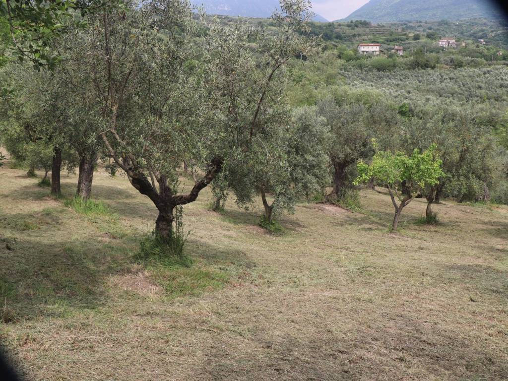 Terreno a Frasso telesino - Foto 3