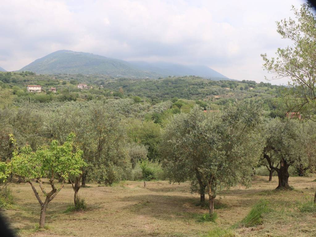 Terreno a Frasso telesino - Foto 5