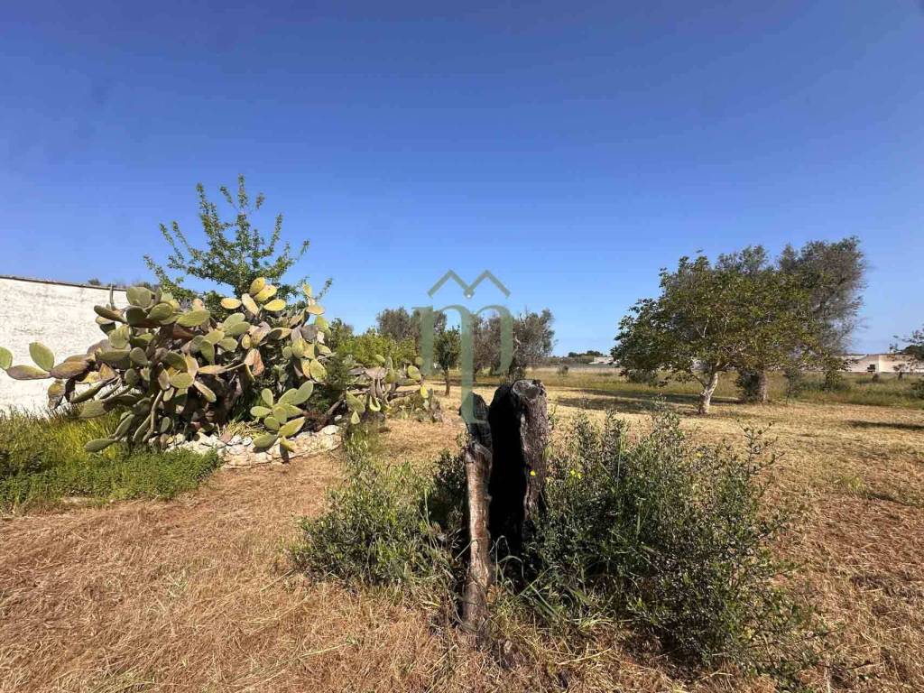 Rustico / casale a Brindisi - Foto 3