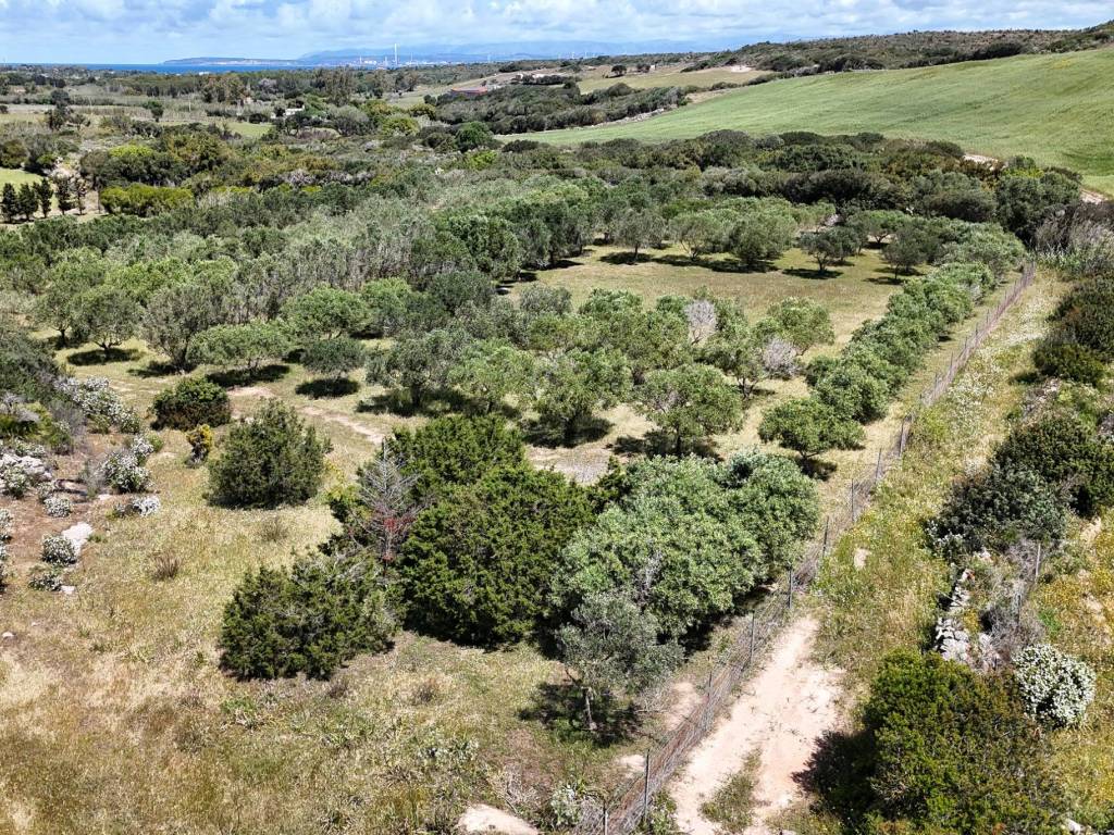 Terreno a Calasetta - Foto 2