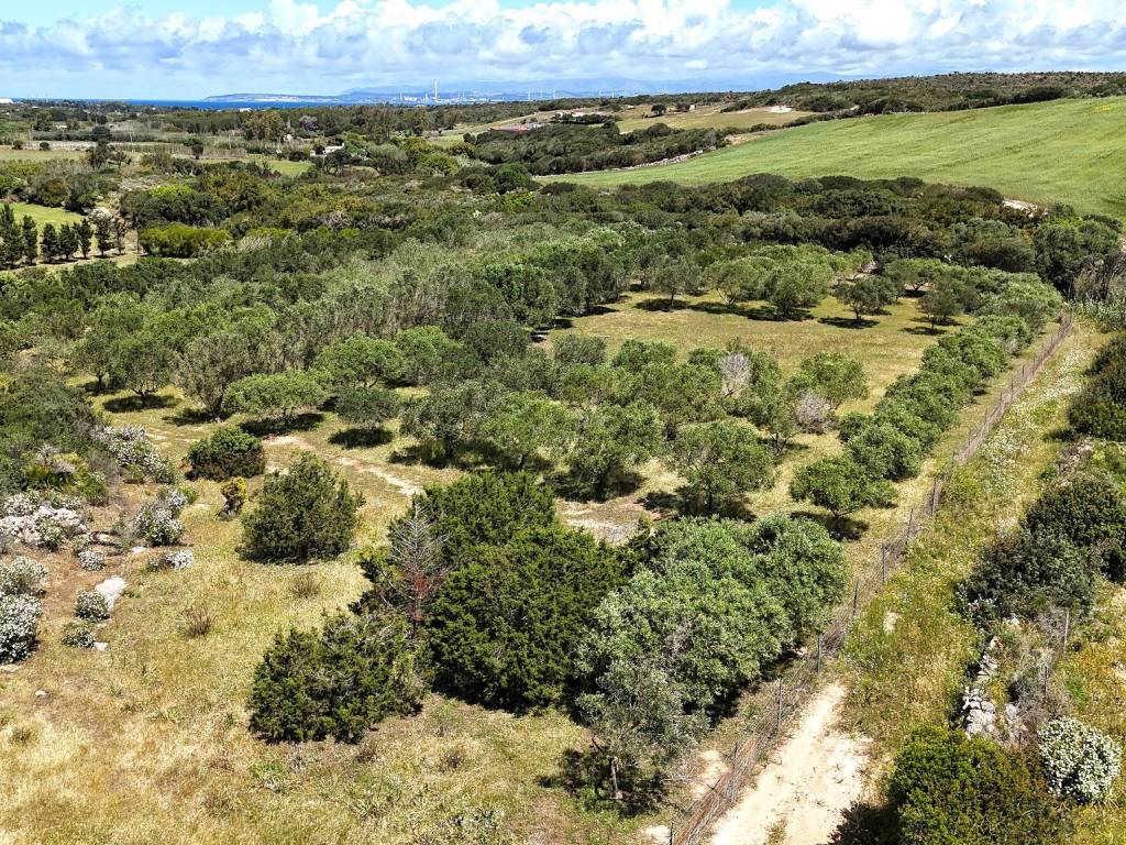 Terreno a Calasetta - Foto 5