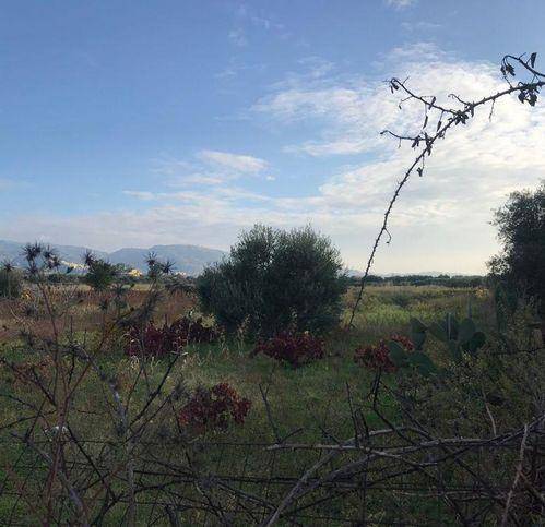 Terreno a Reggio calabria - Foto 4