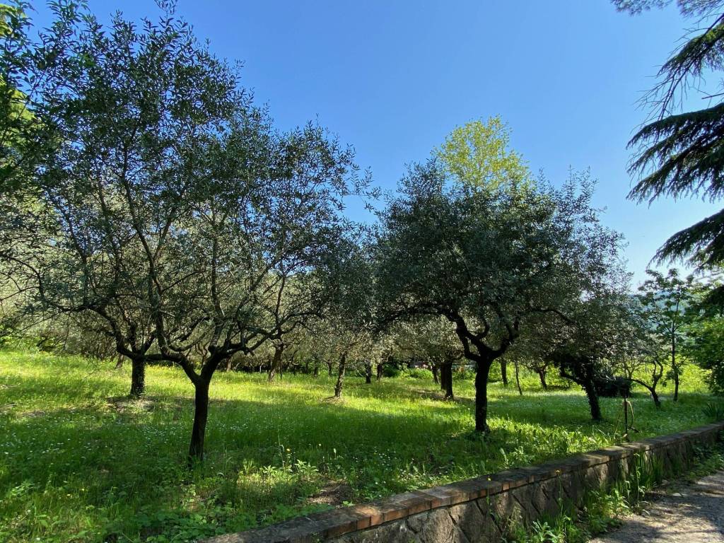 Villa a Teolo in Via Euganea Teolo, 8 - Foto 5