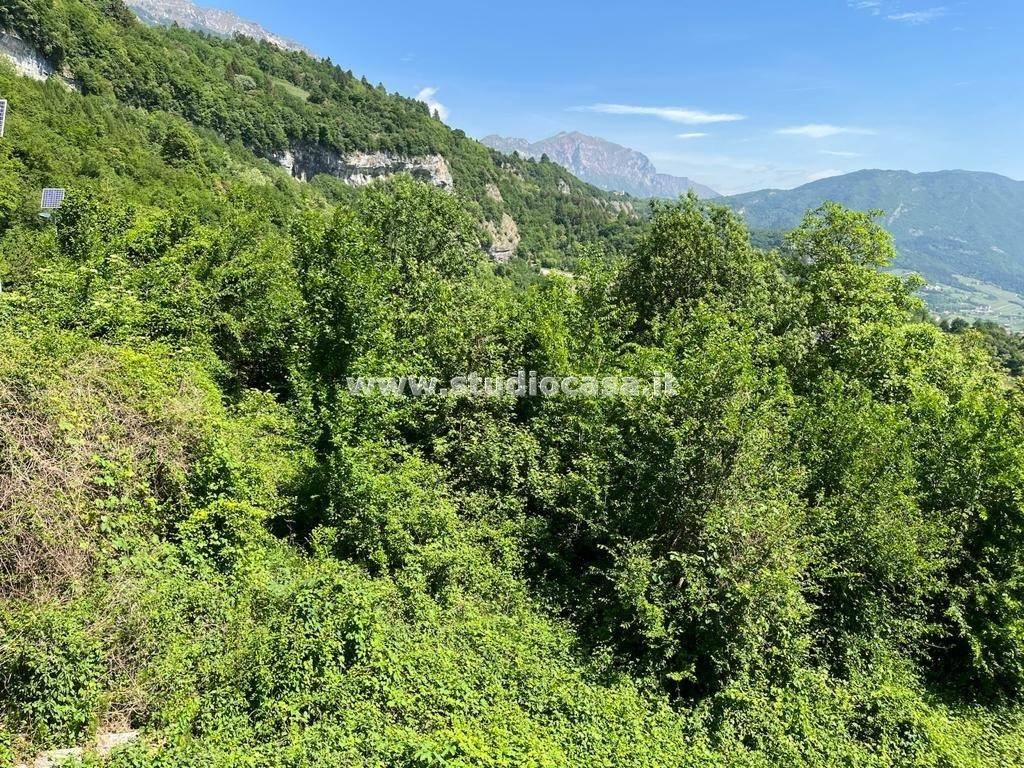 Terreno a Isera - Foto 2