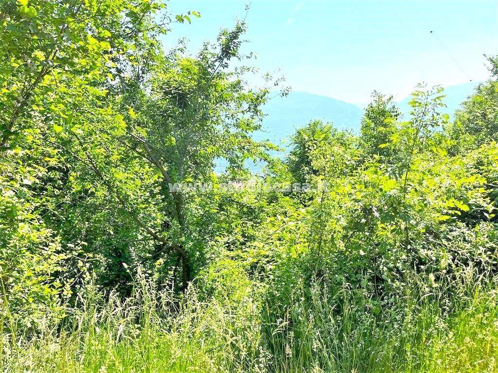 Terreno a Isera - Foto 4