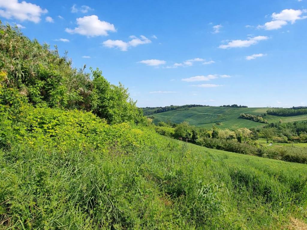 Villa a Casale monferrato in Strada Rolasco, 130 - Foto 2