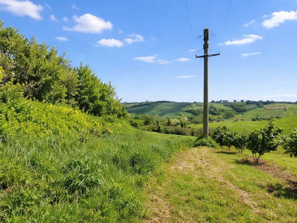Villa a Casale monferrato in Strada Rolasco, 130 - Foto 3