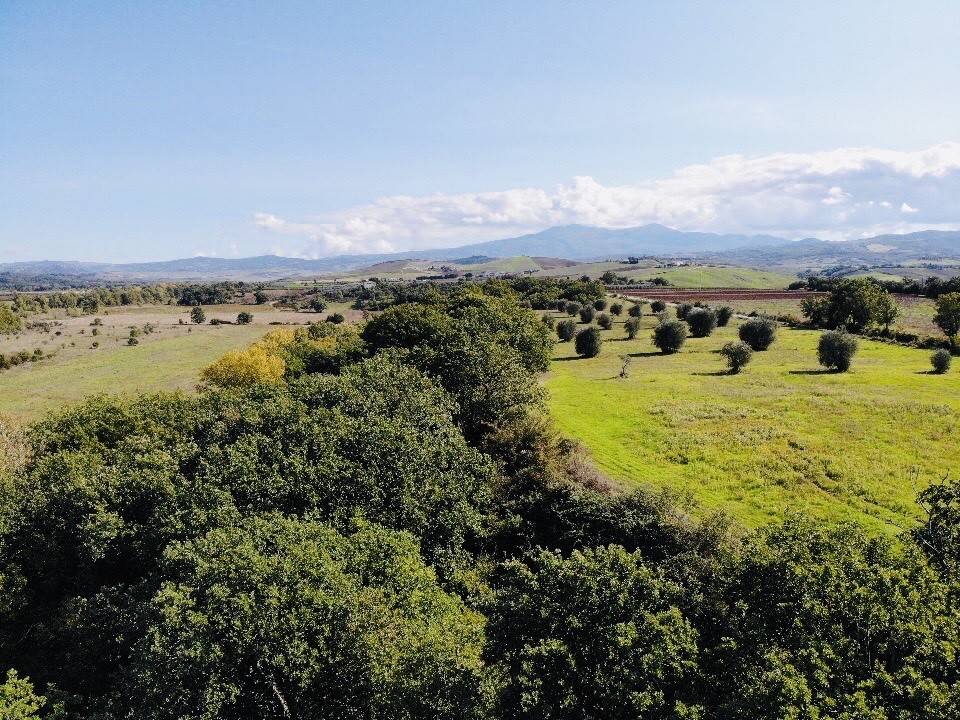 Terreno a Cinigiano in Strada del Cipressino - Foto 3