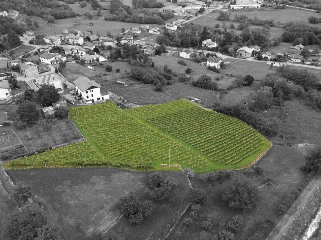 Terreno a Castione andevenno in Via Canovi, 9 - Foto 2